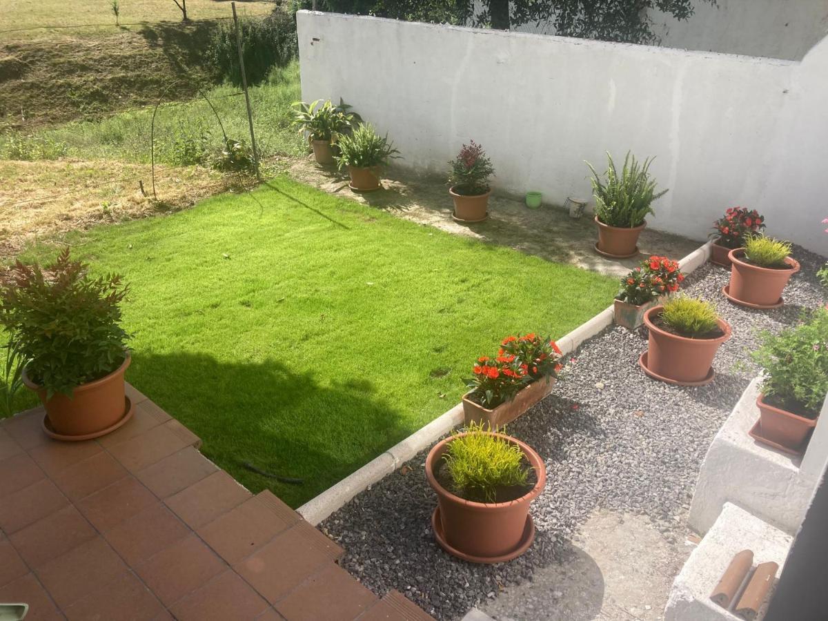 Apartment Con Jardin En El Antiguo